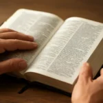 best word for word bible translation