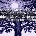The Virgin Mary in the New Testament: A Complete NABRE Guide to Mary in Scripture — Catholic Teaching and Apologetics