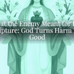 What the Enemy Meant for Evil Scripture: God Turns Harm into Good What the Enemy Meant for Evil Scripture: God Turns Harm into Good