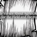Bible Verses About Agriculture: Faith for the Field and the Harvest