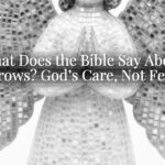 What Does the Bible Say About Crows? God’s Care, Not Fear