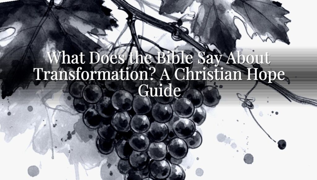 What Does the Bible Say About Transformation? A Christian Hope Guide