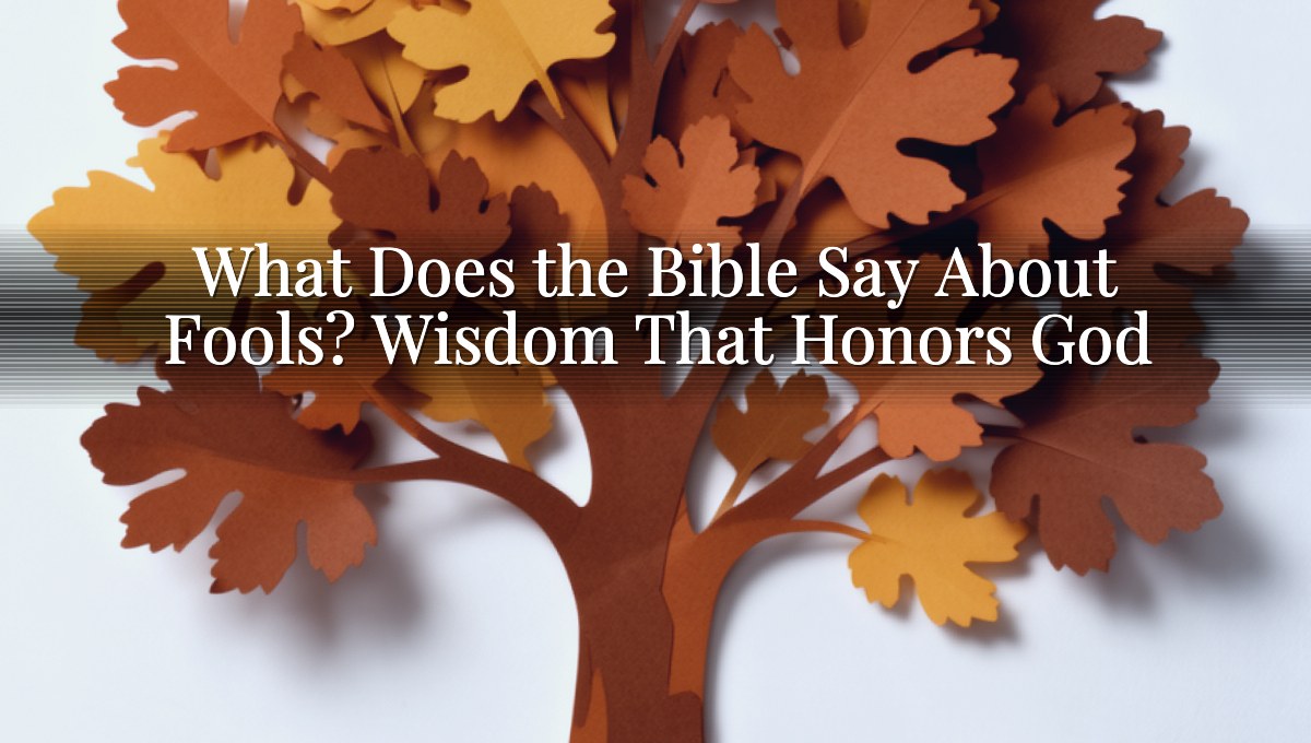 What Does the Bible Say About Fools? Wisdom That Honors God
