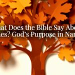 What Does the Bible Say About Names? God’s Purpose in Naming What Does the Bible Say About Names? God’s Purpose in Naming