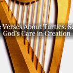 Bible Verses About Turtles: Seeing God’s Care in Creation Bible Verses About Turtles: Seeing God’s Care in Creation