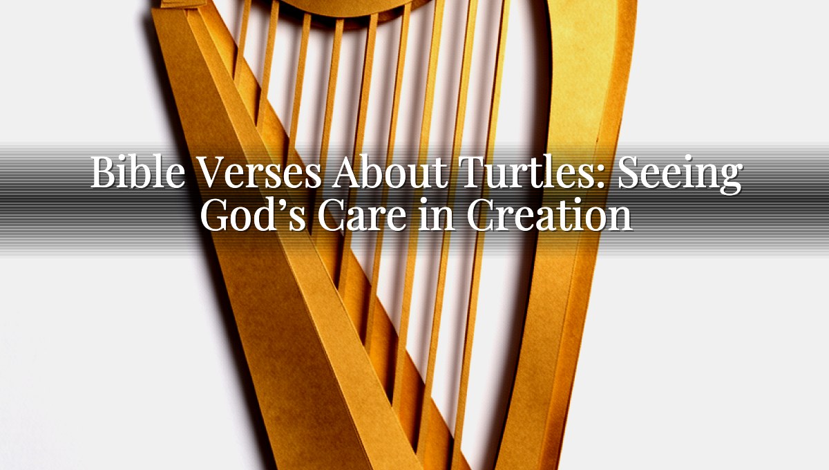 Bible Verses About Turtles: Seeing God’s Care in Creation