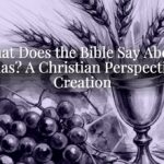 What Does the Bible Say About Cicadas? A Christian Perspective on Creation