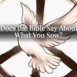 What Does the Bible Say About Reap What You Sow?