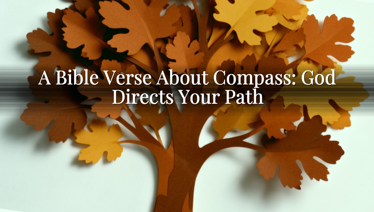 A Bible Verse About Compass: God Directs Your Path