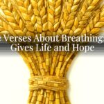 Bible Verses About Breathing: God Gives Life and Hope