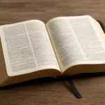 bible protestant