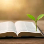 bible scriptures about new beginnings