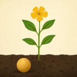 Bible Verse About Mustard Seed Faith: Meaning, Power, and Practical Steps for Modern Faith bible verse about mustard seed faith