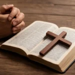 bible verses and what they mean