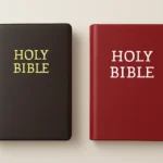 bibles that are easy to read