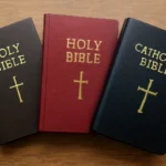 catholic bibles