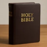 douay rheims holy bible