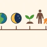 genesis timeline