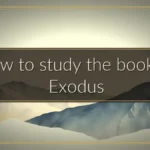 How to study the book of Exodus