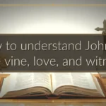 How to understand John 15: The vine, love, and witness