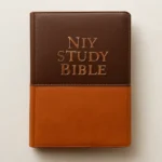 n i v study bible