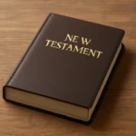 new testament book