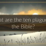 What are the ten plagues in the Bible?