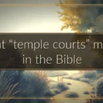 What “temple courts” means in the Bible What “temple courts” means in the Bible