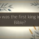 Who was the first king in the Bible? Who was the first king in the Bible?
